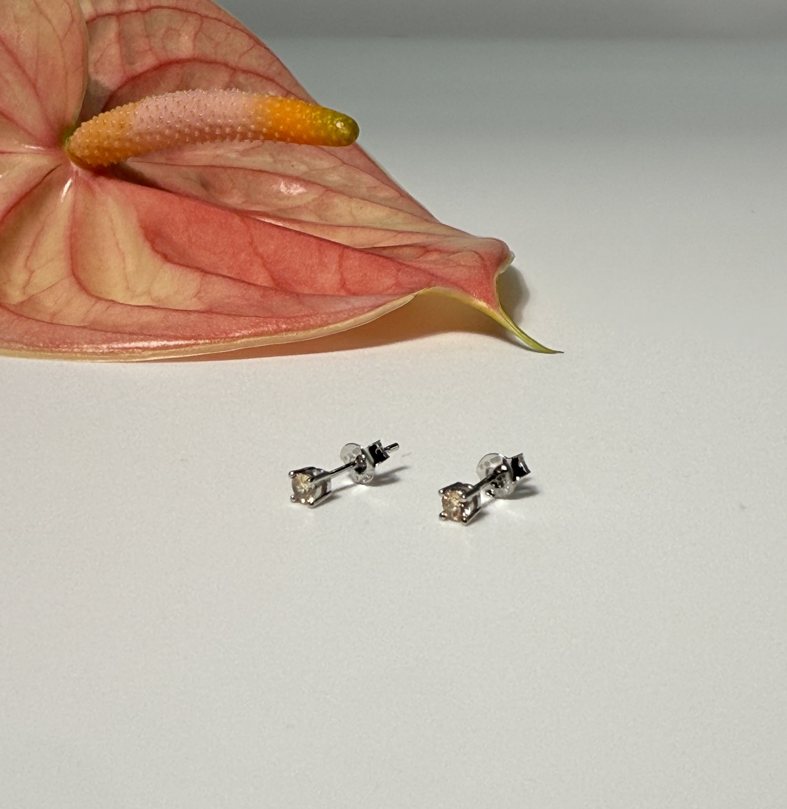 ORECCHINO PUNTO LUCE ZIRCONE CHAMPAGNE ARGENTO 925