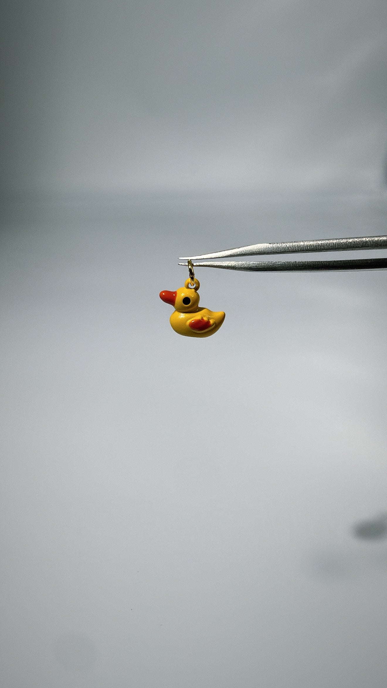 CIONDOLO DUCK
